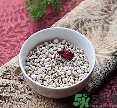 夏天吃薏米好嗎？夏天吃薏米有什么好處？