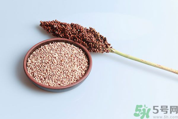 夏天吃高粱好嗎？夏天吃高粱有什么好處？