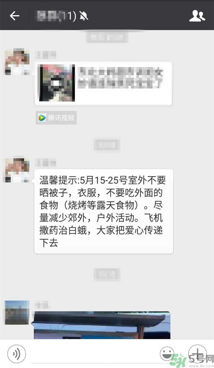 為什么15-25號不要曬被子？什么是美國白蛾？