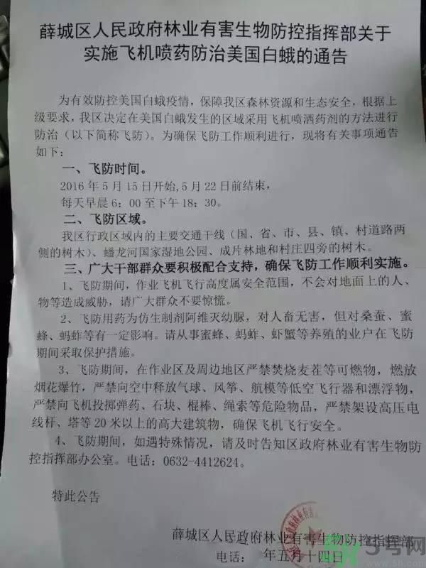 為什么15-25號不要曬被子？什么是美國白蛾？