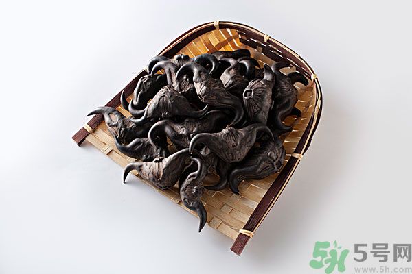 孕婦可以吃菱角嗎？孕婦吃菱角好嗎？