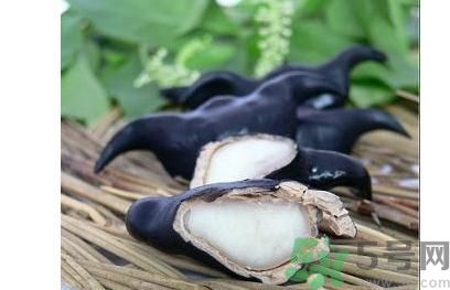 菱角怎么剝完整？菱角剝不開怎么辦？