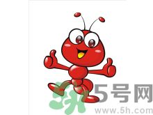 家里有螞蟻怎么辦？驅(qū)除螞蟻的方法是什么？