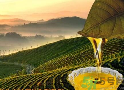 茶籽油可以天天吃嗎？可以每天用茶籽油炒菜嗎？