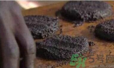 蚊子可以吃嗎？吃蚊子會怎么樣？