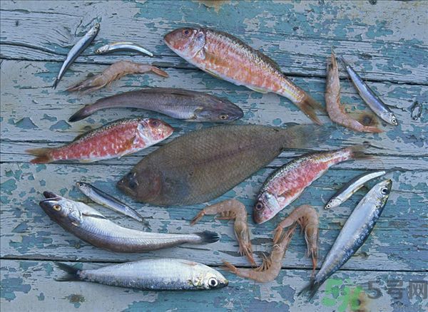 南瓜同魚(yú)能一起吃嗎？南瓜和魚(yú)一起吃好嗎？