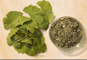 夏天可以喝銀杏葉茶嗎？夏天喝銀杏葉茶好嗎？