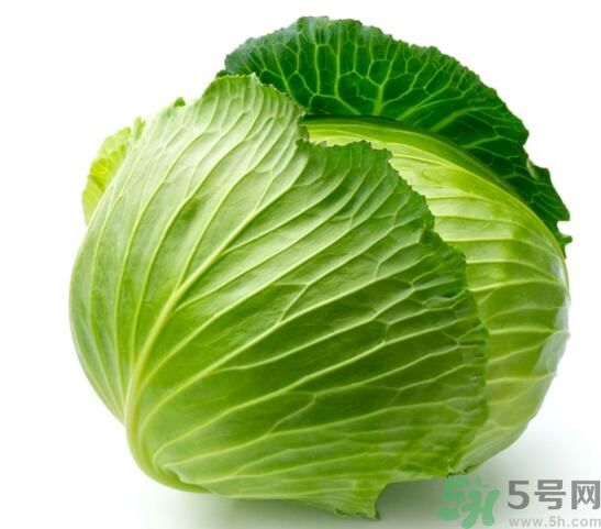 包菜可以放冰箱嗎？包菜怎么保存？