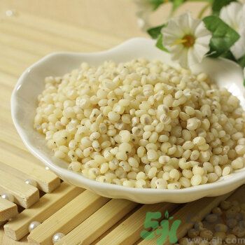 高粱米是涼性嗎？高粱米是涼性還是熱性？