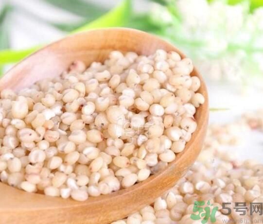 高粱米是發(fā)物嗎？高粱米是不是發(fā)物？