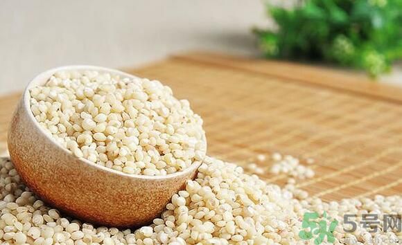 高粱米是發(fā)物嗎？高粱米是不是發(fā)物？