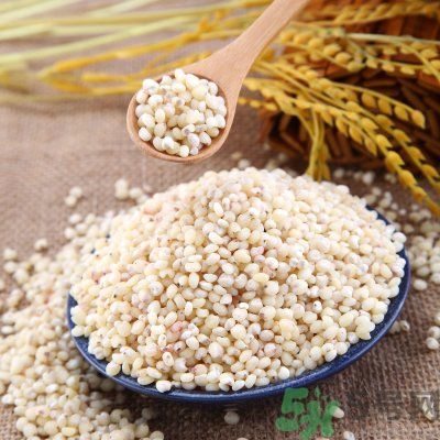 高粱米能做飯嗎？高粱米做飯好嗎？