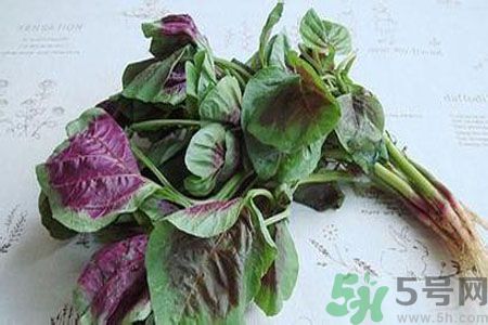 寶寶可以吃漢菜嗎？寶寶吃漢菜好嗎？