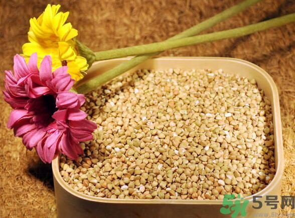蕎麥是發(fā)物嗎？蕎麥是不是發(fā)物？