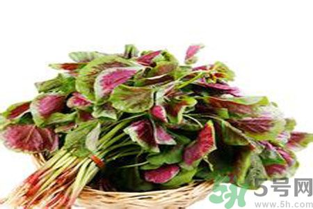 胃不好可以吃莧菜嗎？胃不好吃莧菜好嗎？