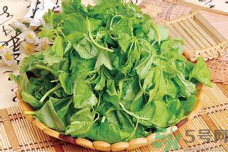 胃不好可以吃莧菜嗎？胃不好吃莧菜好嗎？