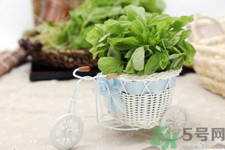 月經(jīng)期間可以吃漢菜嗎？來月經(jīng)可以吃漢菜嗎？