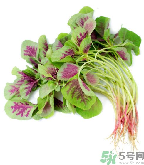 吃莧菜會(huì)皮膚過(guò)敏嗎？吃莧菜皮膚過(guò)敏怎么辦？