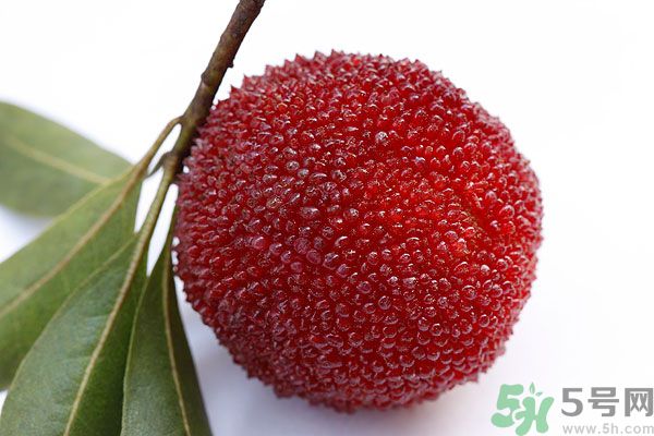 吃楊梅時可以喝茶嗎？吃楊梅時喝茶有什么壞處？