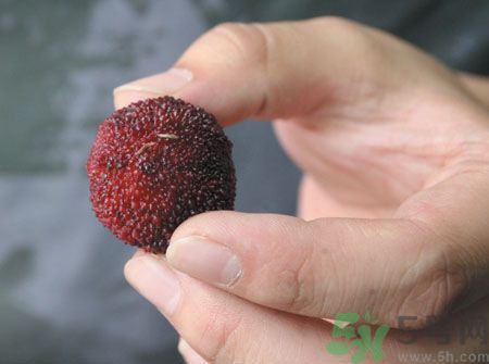 楊梅里面的蟲(chóng)子能吃嗎？楊梅里面的蟲(chóng)子吃了會(huì)怎么樣？