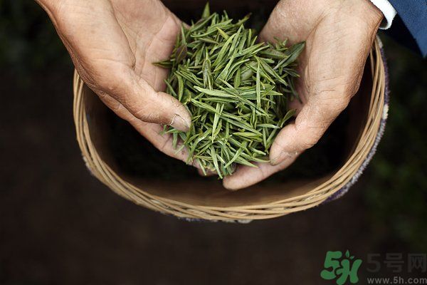 吃魚的時候能喝茶嗎？吃魚可以喝茶嗎？