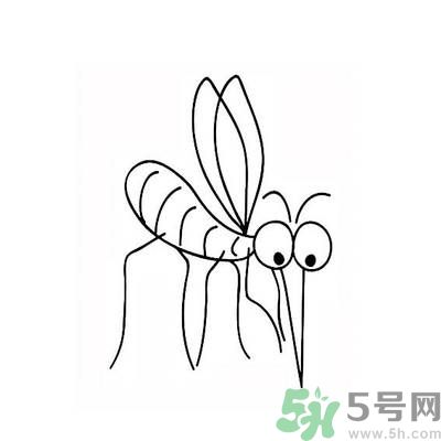 夏天家中有蒼蠅怎么辦？夏天如何滅蒼蠅？