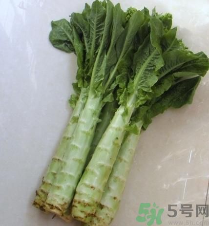 筍子是不是發(fā)物？筍子是發(fā)物嗎？