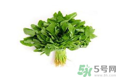 莧菜可以生吃嗎？莧菜生吃了會怎樣？