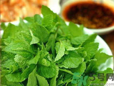 薄荷可以炒菜吃嗎？薄荷可以用來炒菜嗎？