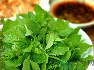 薄荷有什么功效？薄荷的攻效是什么？