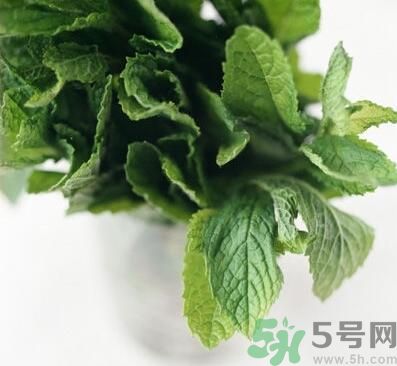 薄荷有什么功效？薄荷的攻效是什么？