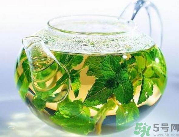 薄荷茶怎么泡好喝？薄荷茶的沖泡方法有哪些？