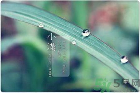 小滿容易得什么皮膚??？小滿得了皮膚病怎么辦？