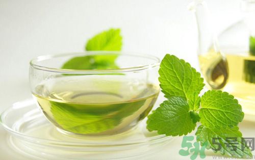  孕婦可以喝薄荷茶嗎？孕婦能喝薄荷泡的茶嗎？