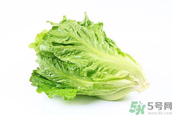 生菜在冰箱放久了能吃嗎？如何分辨生菜新不新鮮？