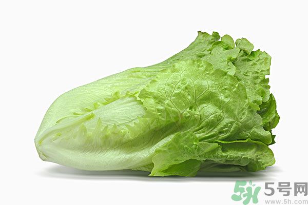 生菜在冰箱放久了能吃嗎？如何分辨生菜新不新鮮？