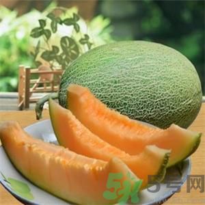 吃哈密瓜可以喝可樂嗎？喝可樂可以吃哈密瓜嗎？