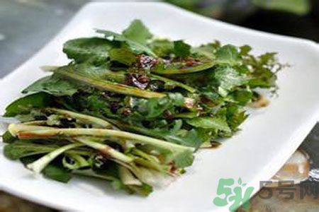 寶寶可以吃苦菜嗎？寶寶多大可以吃苦菜？