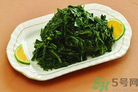 苦菜苦不苦？苦菜怎么做不苦？