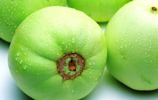 甜瓜可以放幾天？甜瓜可以保存幾天才會(huì)壞？