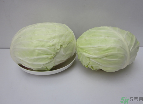 包菜榨汁要加水嗎？包菜汁怎么做？
