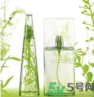 蚊子叮的包過幾天又癢是為什么？蚊子叮的包過幾天又癢怎么辦？