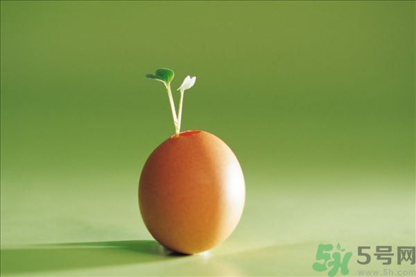 生菜和雞蛋能一起吃嗎？生菜和雞蛋一起怎么做？