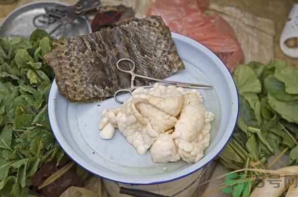 夏天吃蛇肉可以清火嗎？夏天吃蛇肉可以降火嗎？
