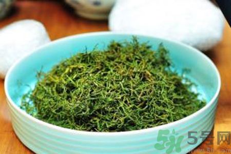 苦菜茶可以和綠茶一起喝嗎？苦菜茶可以和其他茶一起喝嗎？