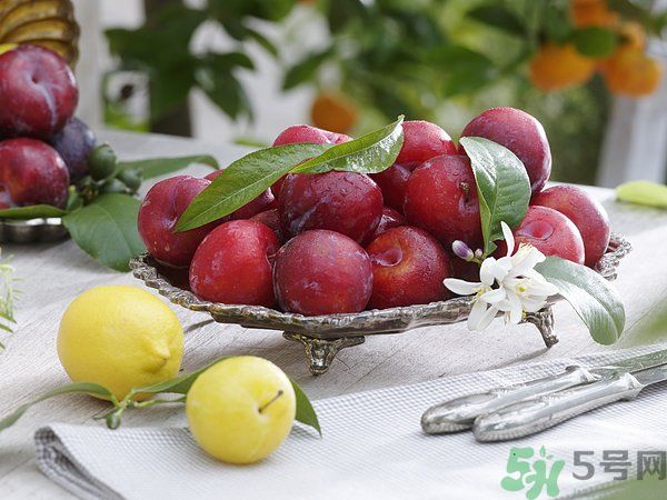 為什么說李子樹下埋死人？李子的食用禁忌有哪些？