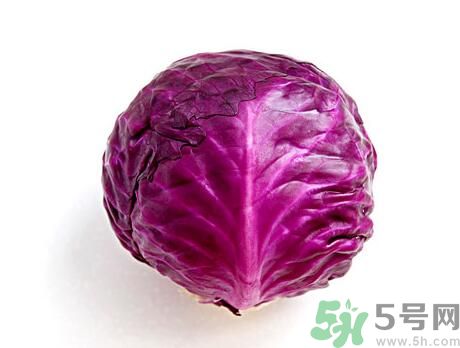 紫甘藍是發(fā)物嗎？紫甘藍是不是發(fā)物？