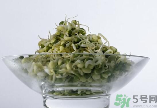 夏天吃綠豆芽可以清火嗎？夏天吃綠豆芽能降火嗎？