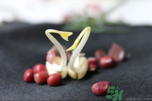 紅豆可以發(fā)豆芽嗎？紅豆芽可以吃嗎？