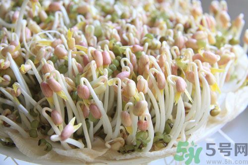 吃毛豆可以減肥嗎？吃毛豆有減肥作用嗎？